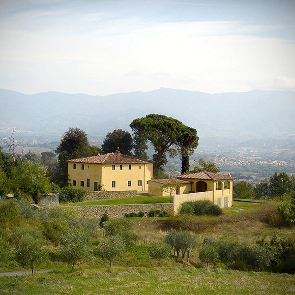 Casino-delle-Vie-8_grande.jpg?