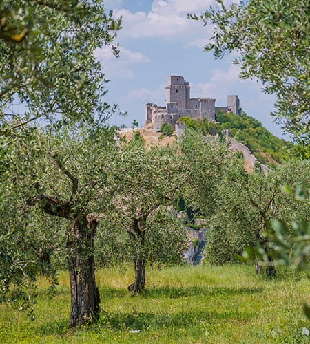 Umbria