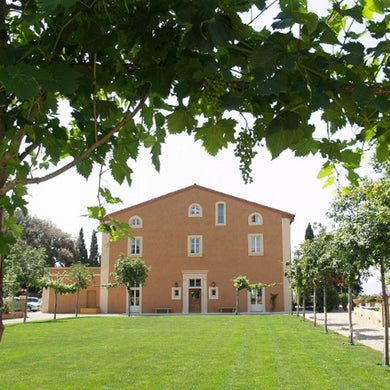 Tenuta di Bolgheri